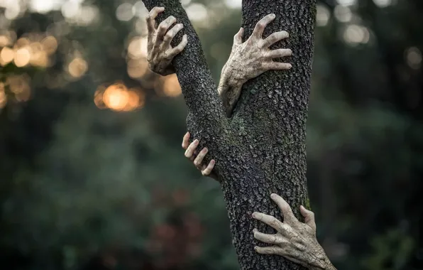 Background, tree, hands