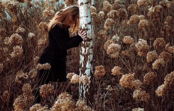 Picture girl, nature, birch