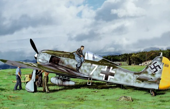 Picture war, art, painting, aviation, Don Greer, ww2, fw 190, german fighter