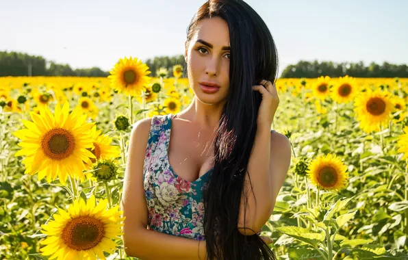 Field, look, girl, sunflowers, portrait, long hair, Cyril Zakirov, Dilara Mineralova