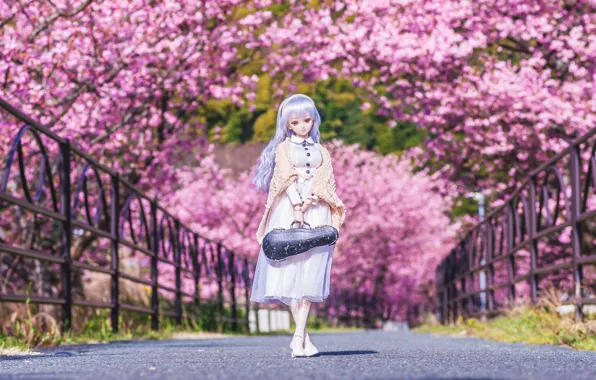Trees, bridge, doll, Sakura