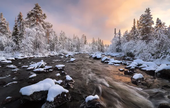 Winter, forest, snow, river, Russia, The Kola Peninsula, Murmansk oblast, Sergei Korolev