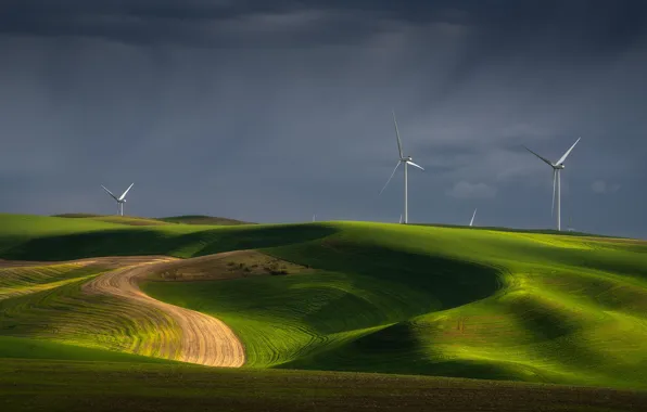 Picture field, windmills, hills, meadow