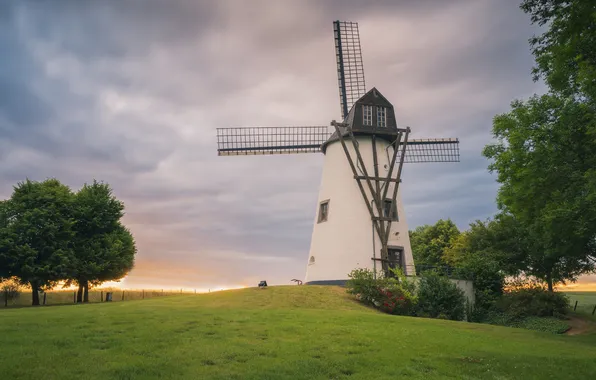 Field, clouds, light, trees, morning, house, windmill