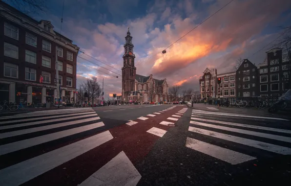 Transport, street, building, Zebra, Amsterdam - My Home
