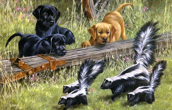 Picture dogs, puppies, art, Puppy Le Pu, Roger Cruwys, skunks