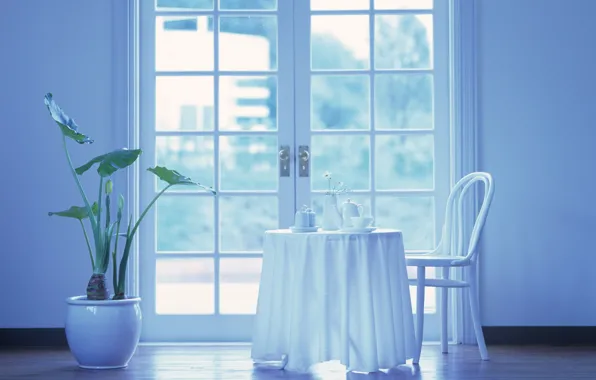 Flowers, table, plant, chair, Cup, balcony, tablecloth, the barrel