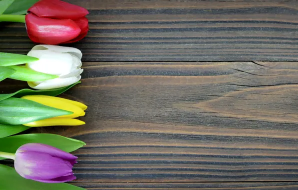 Flowers, colorful, tulips, wood, romantic, tulips