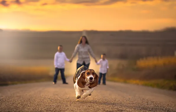 Road, children, dog, running, bokeh