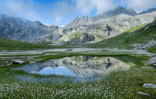 Mountains, lake, rocks, shore, cotton