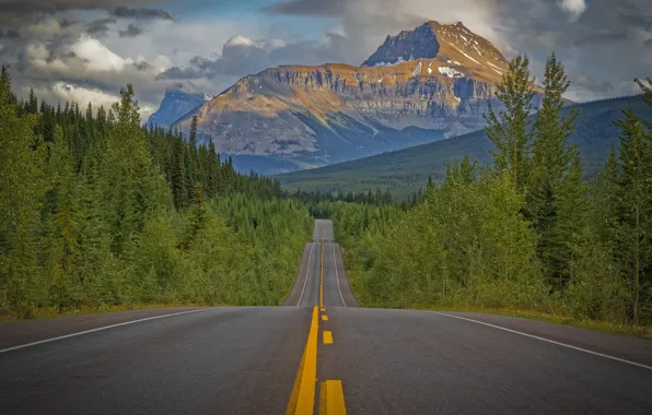 Road, forest, trees, mountains, Canada, Canada, Rocky mountains, Rocky Mountains