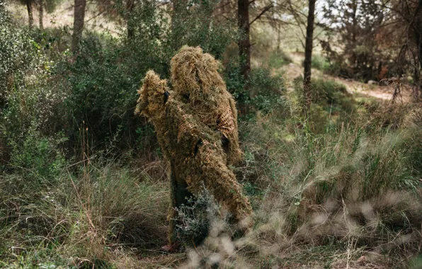 Nature, camouflage, Sniper