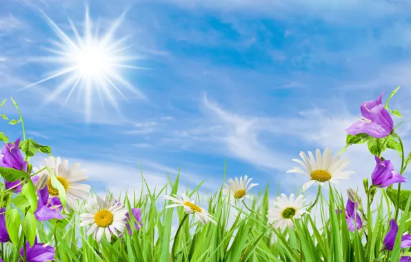 The sky, the sun, flowers