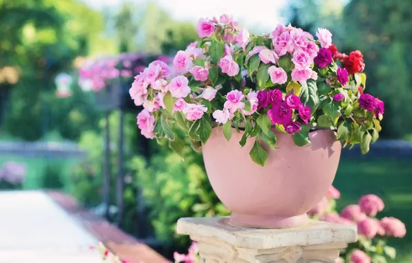 Flowers, bouquet, garden, pink, flowerbed, pot, bokeh