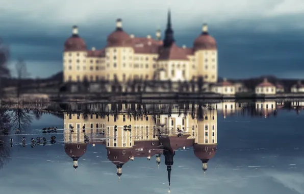 Picture reflection, Germany, architecture, Moritzburg Castle, Moritzburg, hunting castle