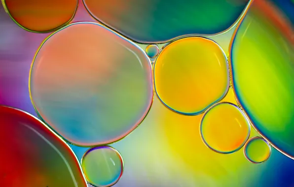 Picture water, bubbles, paint, color, oil, liquid, the air, the volume