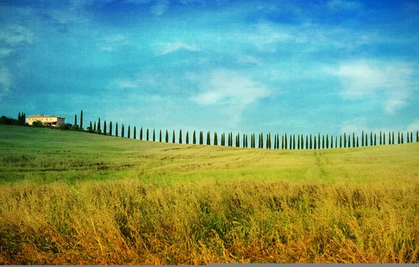 Field, the sky, clouds, trees, house, Italy, farm, Tuscany