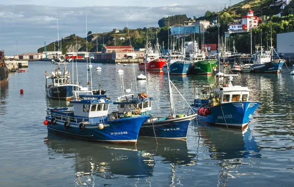 Water, the city, photo, ships, yachts, boats