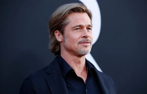 Photo, portrait, Brad Pitt, Brad Pitt, actor