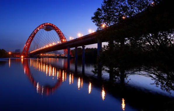 Road, the sky, water, light, trees, landscape, night, lights