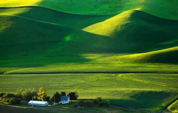 Picture greens, field, the sun, hills