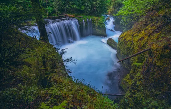 Picture forest, river, waterfall, Columbia River Gorge, Washington State, Little White Salmon River, Spirit If, The …