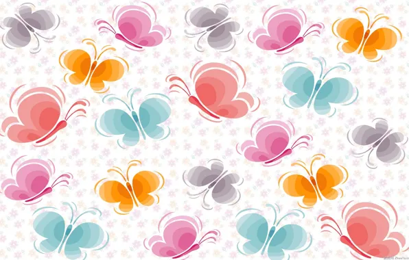 Butterfly, flowers, colorful