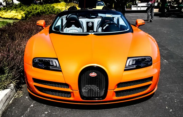 Picture veyron, bugatti, orange