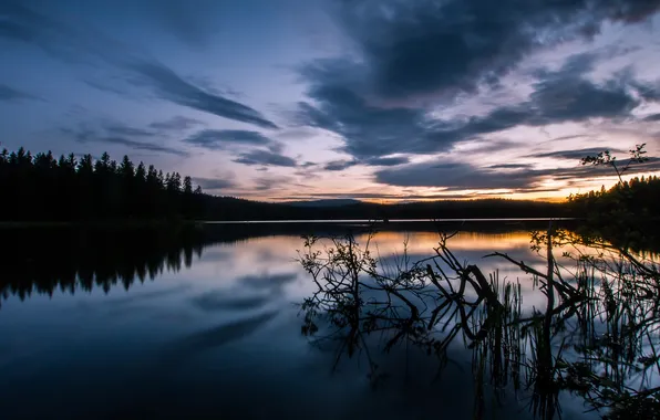 Picture forest, sunset, lake, twilight