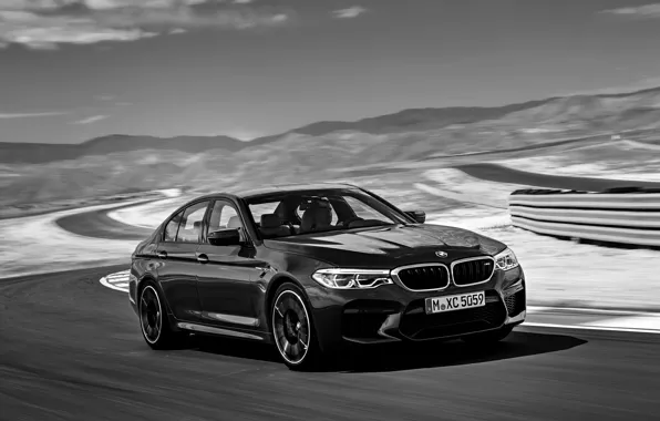 Picture asphalt, track, BMW, sedan, BMW M5, 2017, M5, F90