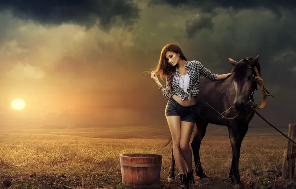 Field, the sun, horse, Girl