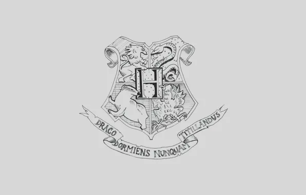 Coat of arms, Harry Potter, Hogwards, the coat of arms of Hogwarts, Hogwarts, Gaari Potter