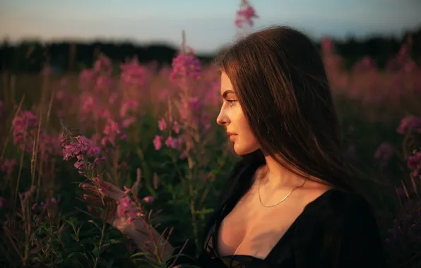 FIELD, PROFILE, FACE, ZWEI, Model Alice