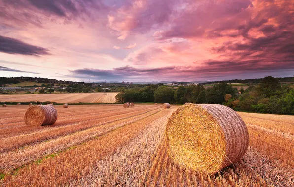 Field, forest, the sky, clouds, sunset, dal, village, hay