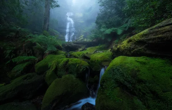 Stones, waterfall, moss