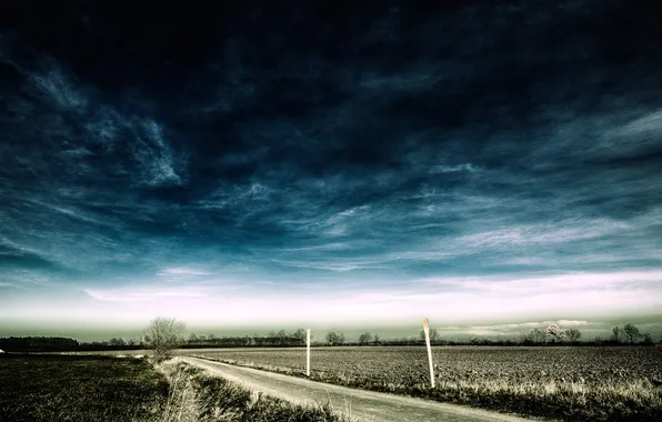 Trees, style, photo, Wallpaper, landscapes, pictures