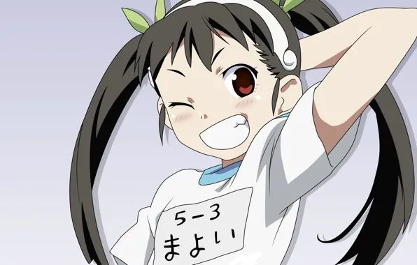 Smile, t-shirt, bakemonogatari, wink, two tails, history of monsters, hachikuji mayo believe