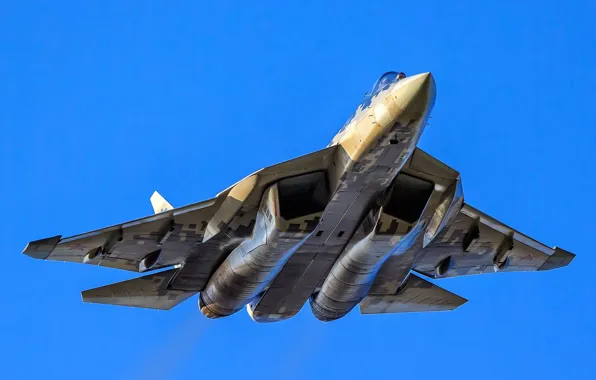 Flies, blue sky, Su-57, combat aircraft