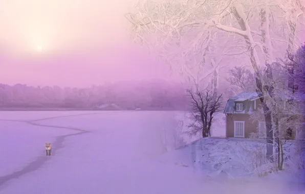 Winter, the sky, snow, trees, rendering, shore, graphics, the evening