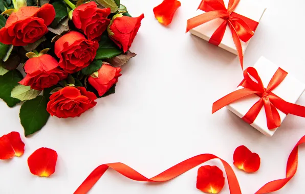 Picture holiday, gift, roses, Valentine's Day, Olena Rudo