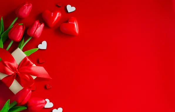 Flowers, holiday, gift, hearts, Valentine's day