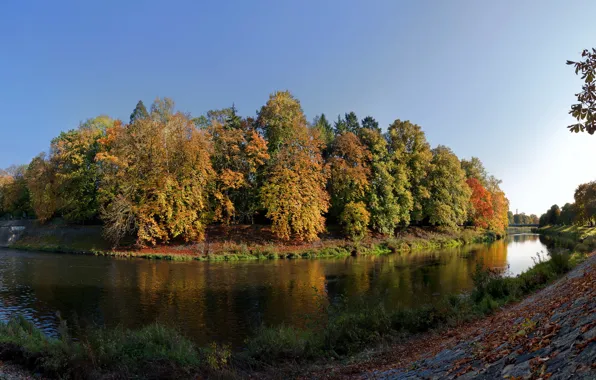 Forest, the sky, trees, river, island