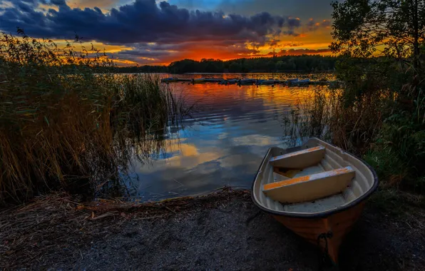 Picture forest, trees, sunset, river, shore, boat, the evening, pier