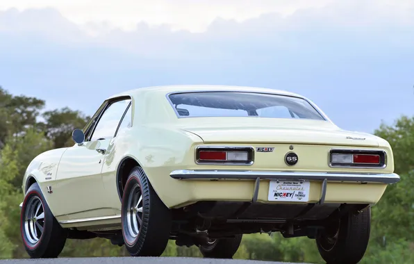 Retro, coupe, Chevrolet, Camaro, sports car, coupe, 1967, 427