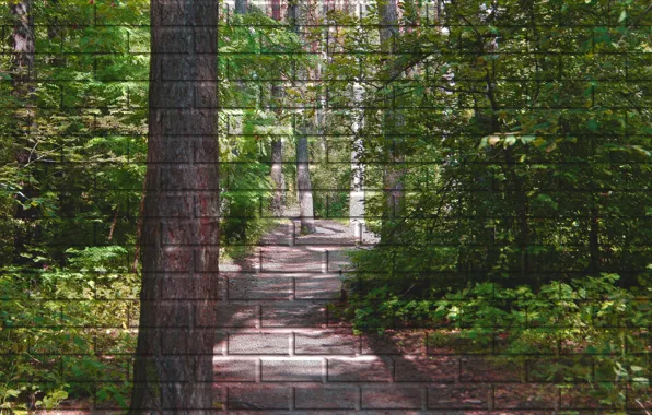 Forest, summer, green, wall, figure, trail, brick, picture