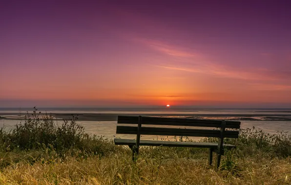 The sky, grass, the sun, sunset, bench, shore, dal, shop