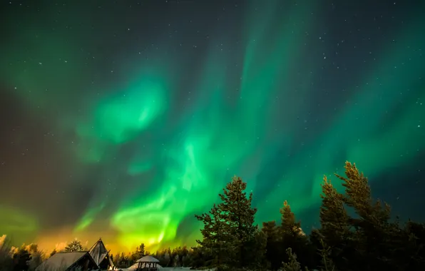 Picture winter, stars, trees, home, beauty, Northern lights