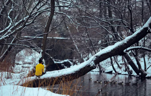 River, trees, bridge, winter, snow, man, back, branches