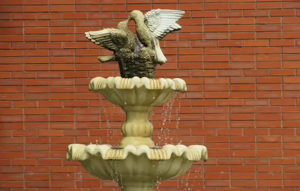 Pigeons, brick wall, trickle, spring 2018, Meduzanol ©