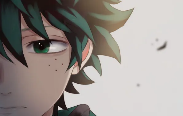 Guy, Boku no Hero Academy, Izuku Midoriya